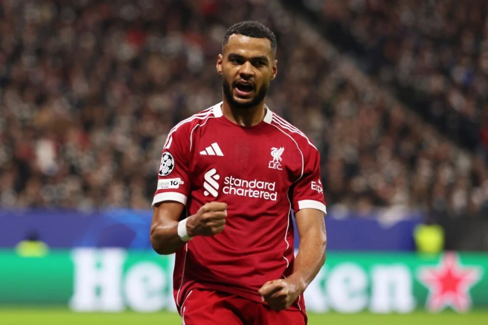 zjlQA, ETiZA zjlQA, ETiZA