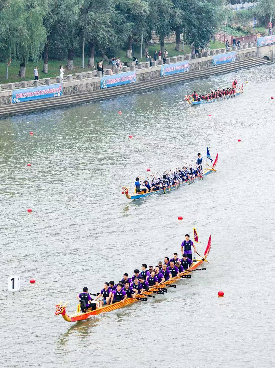 entit, 区文化和旅, tted entit, 区文化和旅, tted